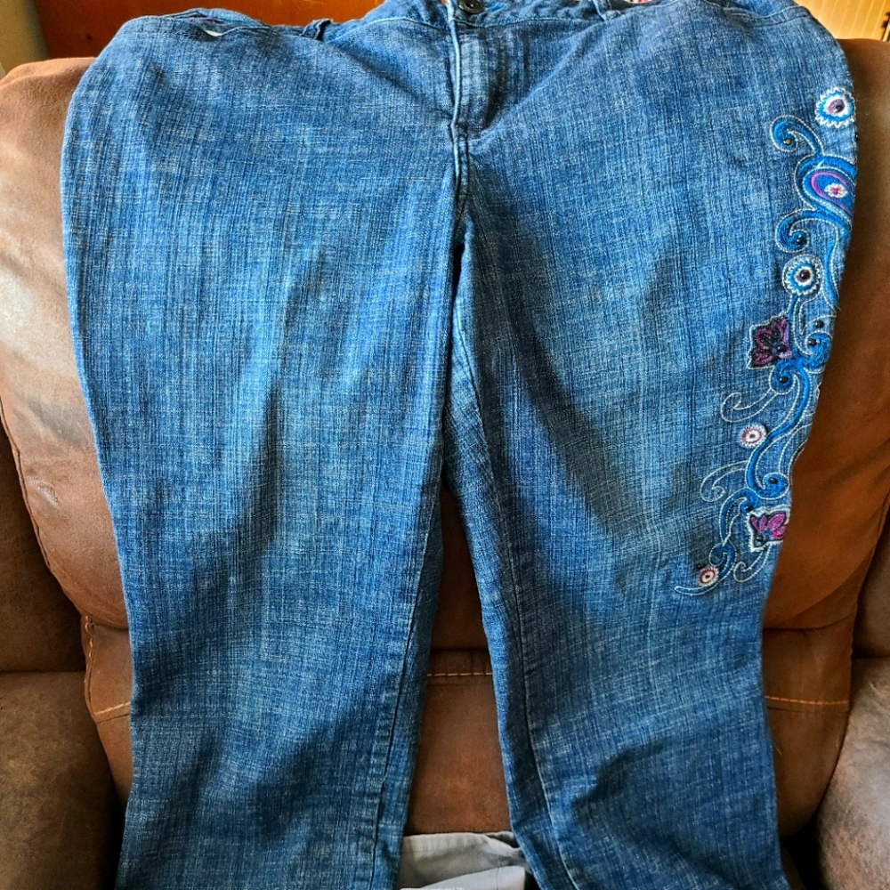 Lane Bryant Venezia jeans
